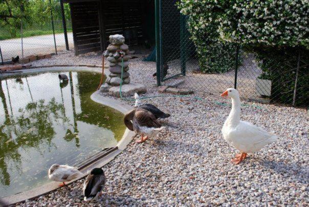 Locanda Al Convento ファヴァロ・ヴェネト エクステリア 写真